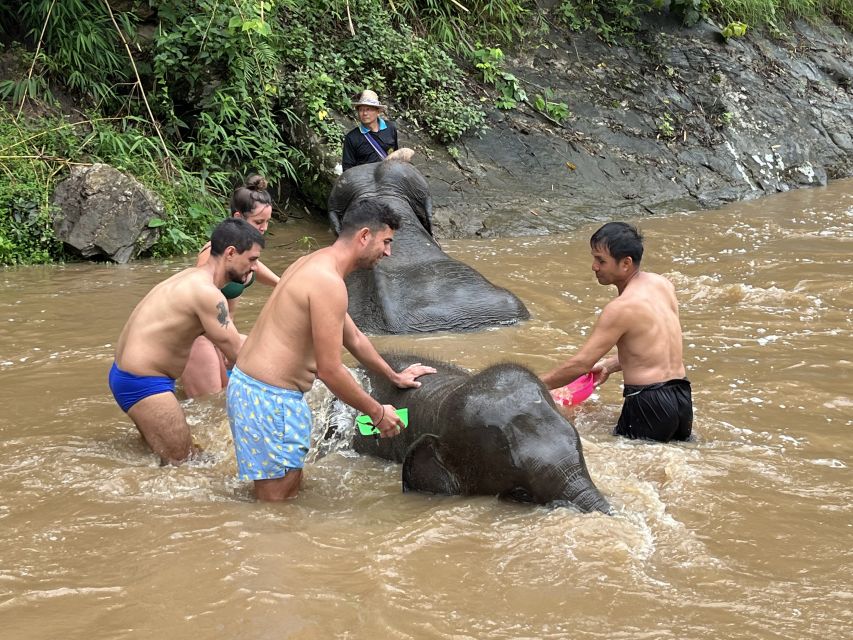 Chiang Mai: Elephant Sanctuary & Waterfall Group Tour - Thai lunch, fruit, and a taste of local hospitality