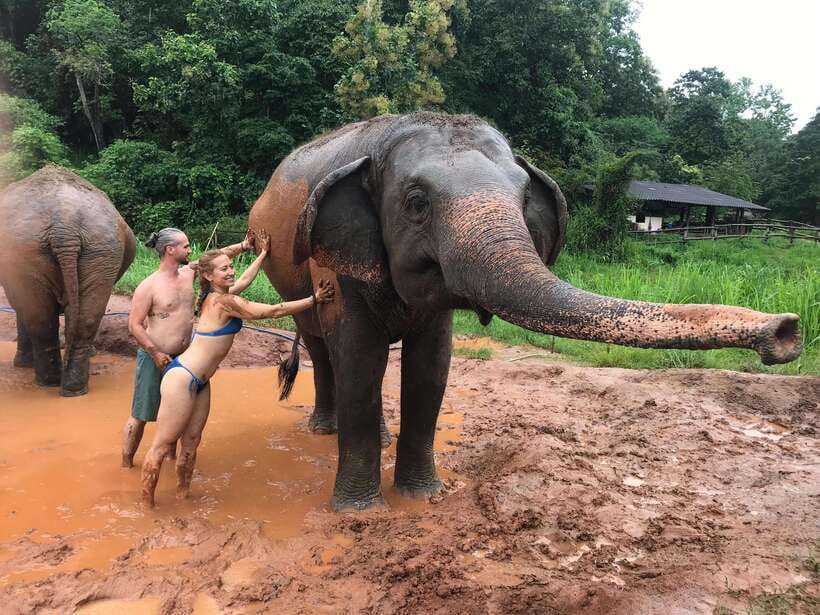 Chiang Mai: Elephant Sanctuary & Waterfall Group Tour - Hiking to Mae Wang Waterfall