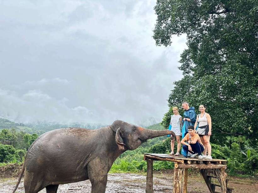 Chiang Mai: Elephant Sanctuary & Waterfall Group Tour - What the $50 price really covers