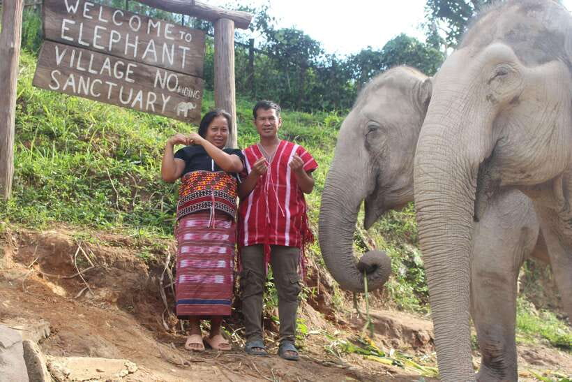 CHIANG MAI ELEPHANT VILLAGE SANCTUARY JUNGLE ADVENTURE - Key points to know before booking
