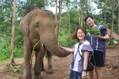 CHIANG MAI ELEPHANT VILLAGE SANCTUARY JUNGLE ADVENTURE