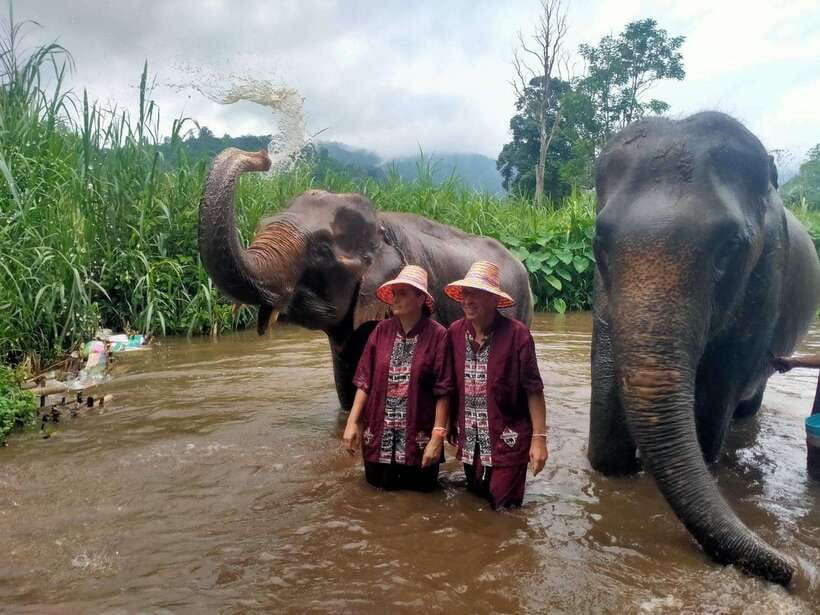 Chiang Mai: Elephants, Sticky Waterfalls, Market and Temple - One day, four very different Chiang Mai experiences