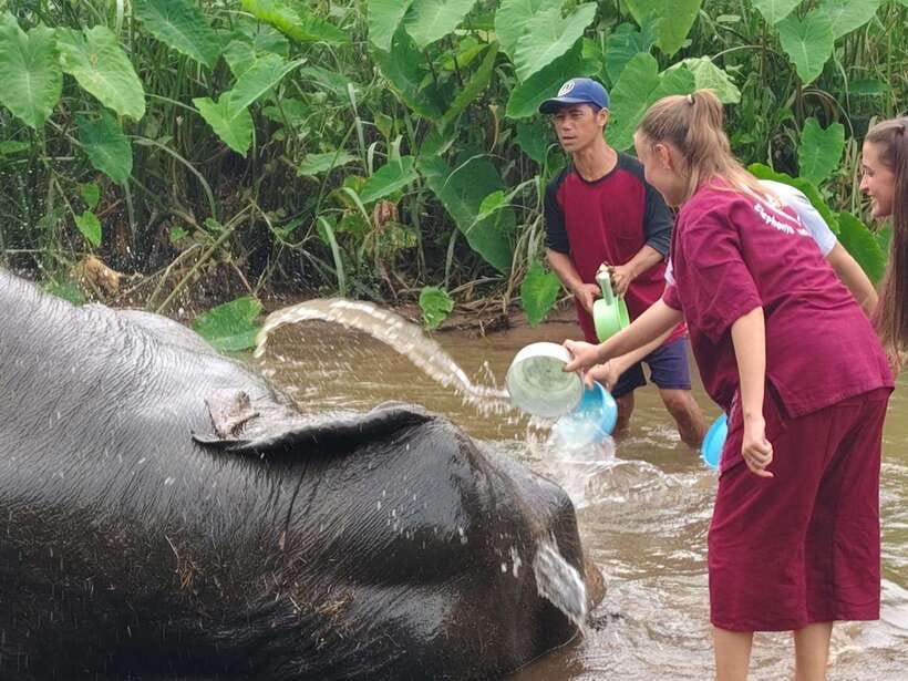 Chiang Mai: Elephants, Sticky Waterfalls, Market and Temple - Bua Thong Sticky Waterfalls: the day’s best physical activity