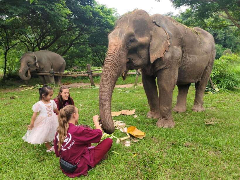Chiang Mai: Elephants, Sticky Waterfalls, Market and Temple - Talat Chedi Mae Krua: a quick look at rural food
