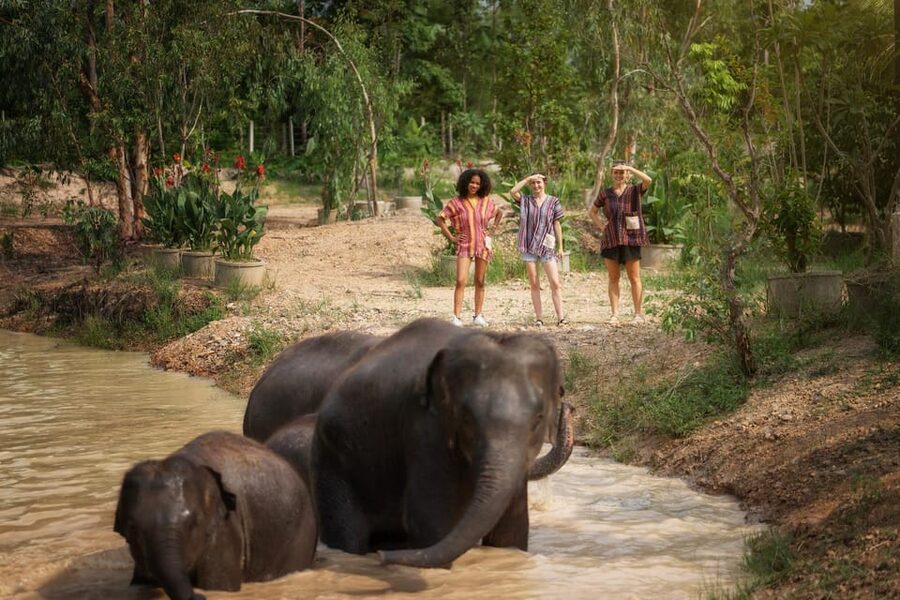 Chiang Mai: Ethical Elephant Encounter Feeding Program - Getting there and preparing for the heat