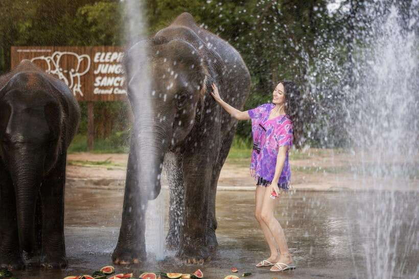 Chiang Mai: Ethical Elephant Feeding & Shower Program - Feeding rescued elephants without the usual circus tricks