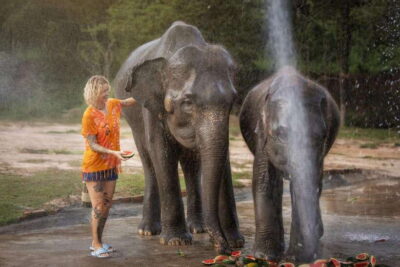 Ethical Elephant Feeding & Shower Program