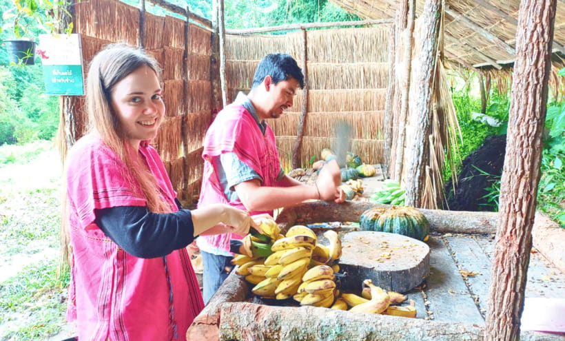 Chiang Mai: Ethical Half Day Elephant Sanctuary & Waterfall - Meeting the elephants and preparing their food