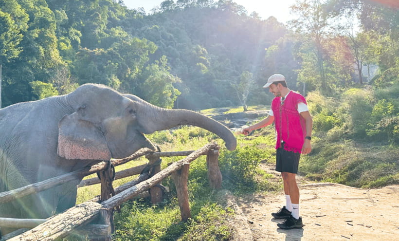 Chiang Mai: Ethical Half Day Elephant Sanctuary & Waterfall - What the $54 price really covers