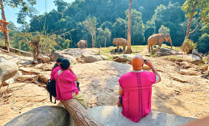 Chiang Mai: Ethical Half Day Elephant Sanctuary & Waterfall - Practical packing advice