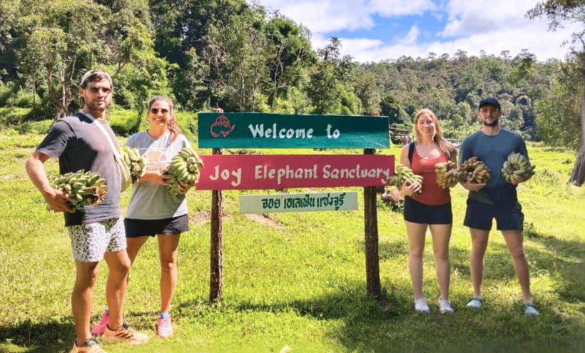 Chiang Mai: Ethical Half Day Elephant Sanctuary & Waterfall - The 90-minute ride from Chiang Mai to Mae Wang