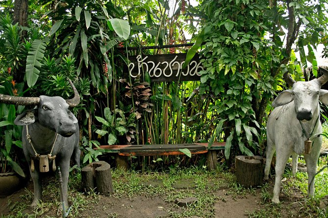 Chiang Mai Farm Life & Khao Soy Tasting on a Half-Day Boat Tour - Finding the meeting point without wasting your morning