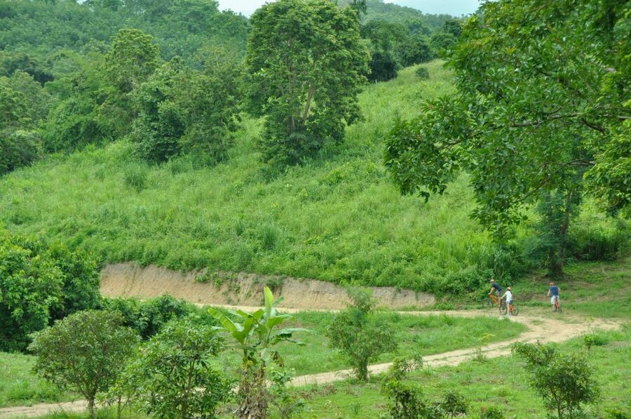Chiang Mai Fields of Gold Cycling Tour - Key points to know before you book