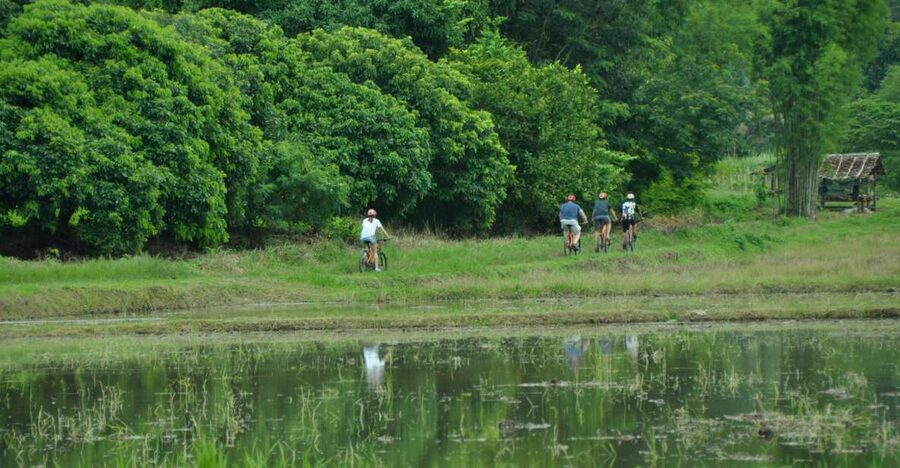 Chiang Mai Fields of Gold Cycling Tour - What the route feels like under the wheels