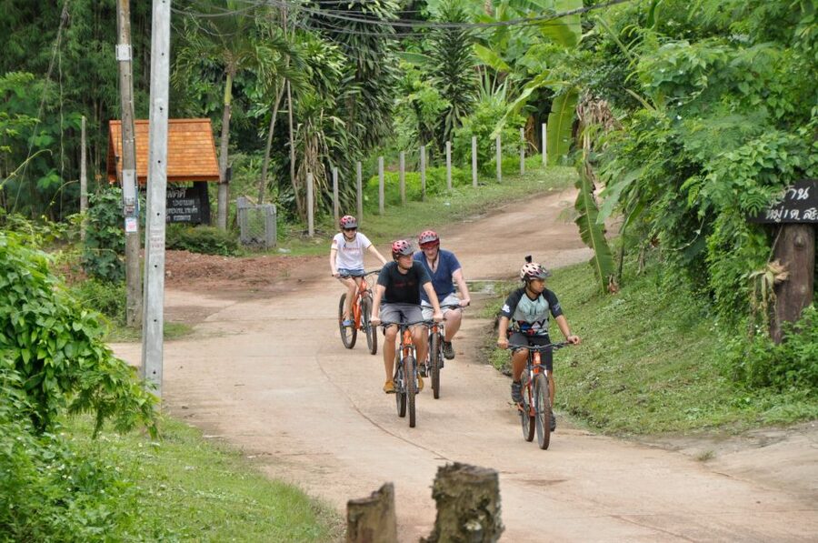 Chiang Mai Fields of Gold Cycling Tour - A better fit for curious cyclists than speed merchants