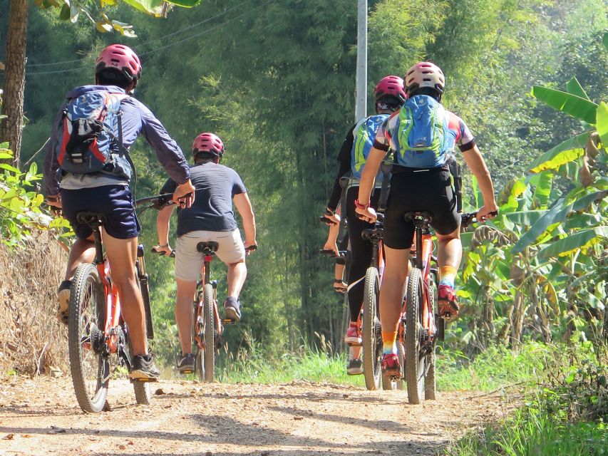 Chiang Mai Fields of Gold Cycling Tour - Booking details that affect your decision