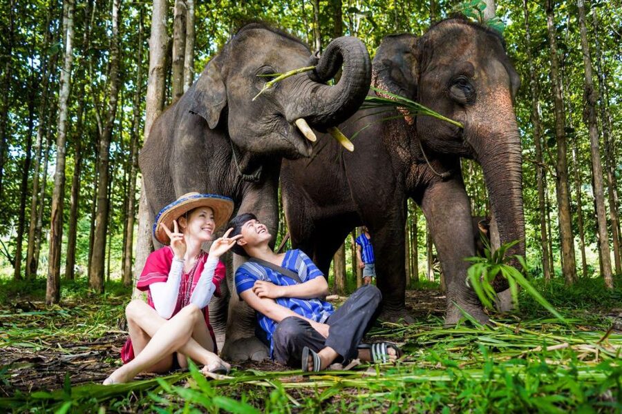 Chiang Mai: Full-Day Kerchor Elephant Eco Park Tour & Trek - What $57 really gets you
