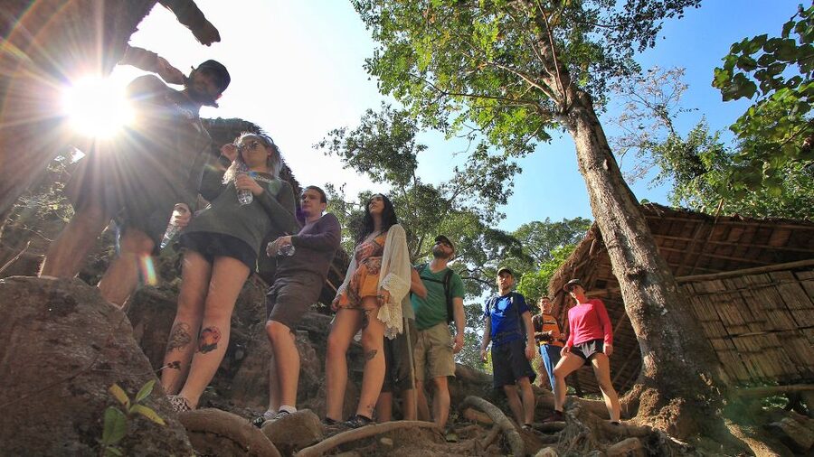 Chiang Mai: Guided Jungle and Waterfall Trek with Transfer - What this Chiang Mai jungle trip is really like