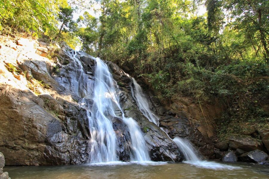 Chiang Mai: Guided Jungle and Waterfall Trek with Transfer - How hard is the three-hour hike?