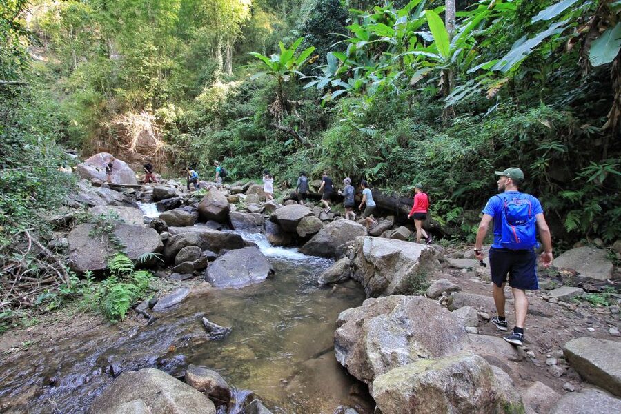 Chiang Mai: Guided Jungle and Waterfall Trek with Transfer - Lunch in the forest