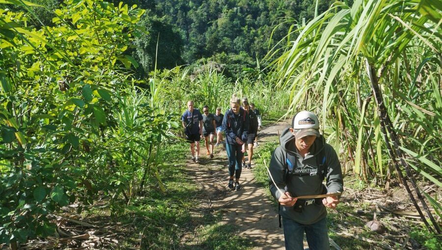 Chiang Mai: Guided Jungle and Waterfall Trek with Transfer - Who should book this experience?
