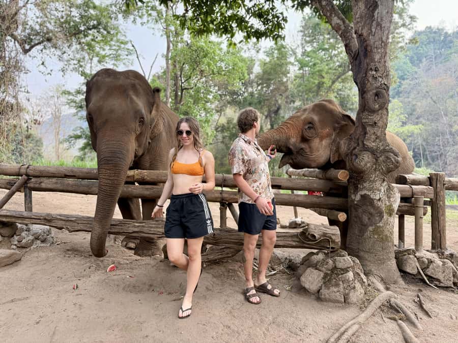 Chiang Mai Half-Day Adventure: River Tubing & Waterfall - Practical fit and small cautions