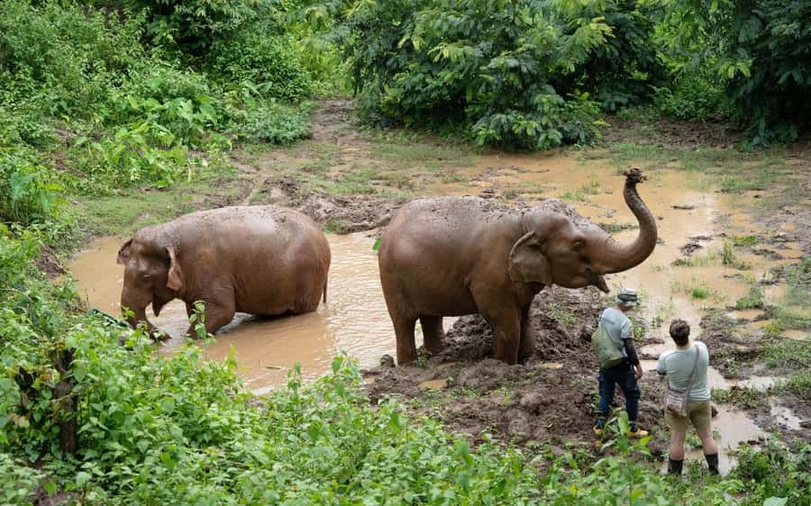 Chiang Mai Half-Day Adventure: River Tubing & Waterfall - The overnight choice at Base Camp
