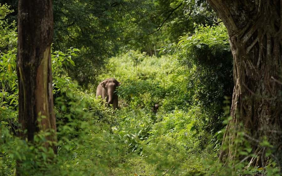 Chiang Mai Half-Day Adventure: River Tubing & Waterfall - Leaving Chiang Mai for Mae Taeng