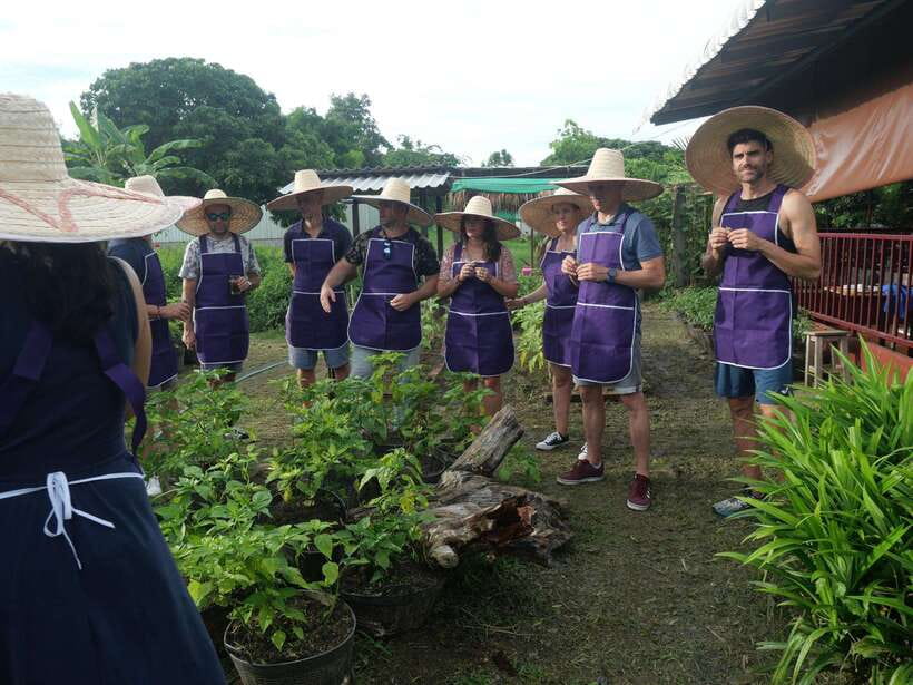Chiang Mai: Half Day Cooking Class at Organic Farm - From Chiang Mai market to your own cooking station