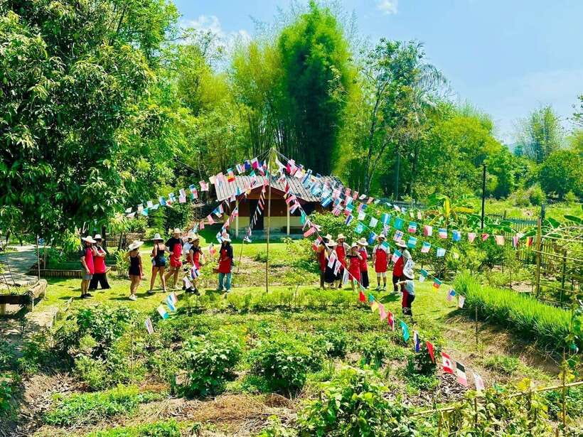 Chiang Mai: Half Day Cooking Class at Organic Farm - Choosing between the three Chiang Mai locations