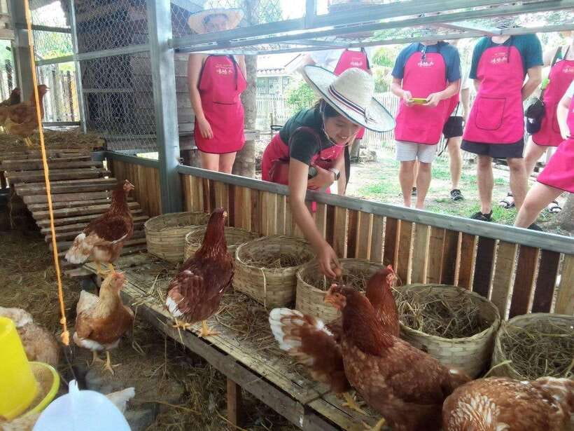 Chiang Mai: Half Day Cooking Class at Organic Farm - Why the garden visit adds something useful