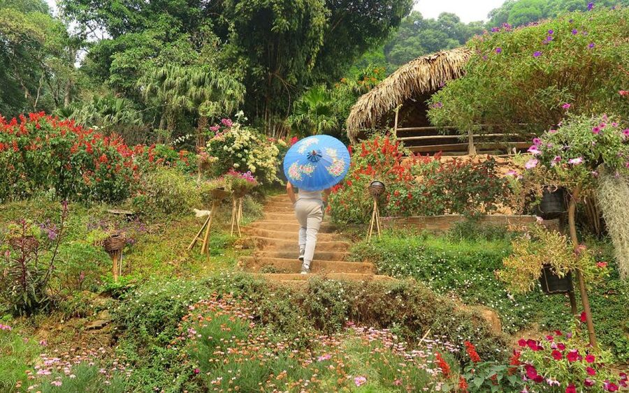 Chiang Mai: Half day Doi Suthep and Meo Village - Wat Phra That Doi Suthep and the meaning of the stop