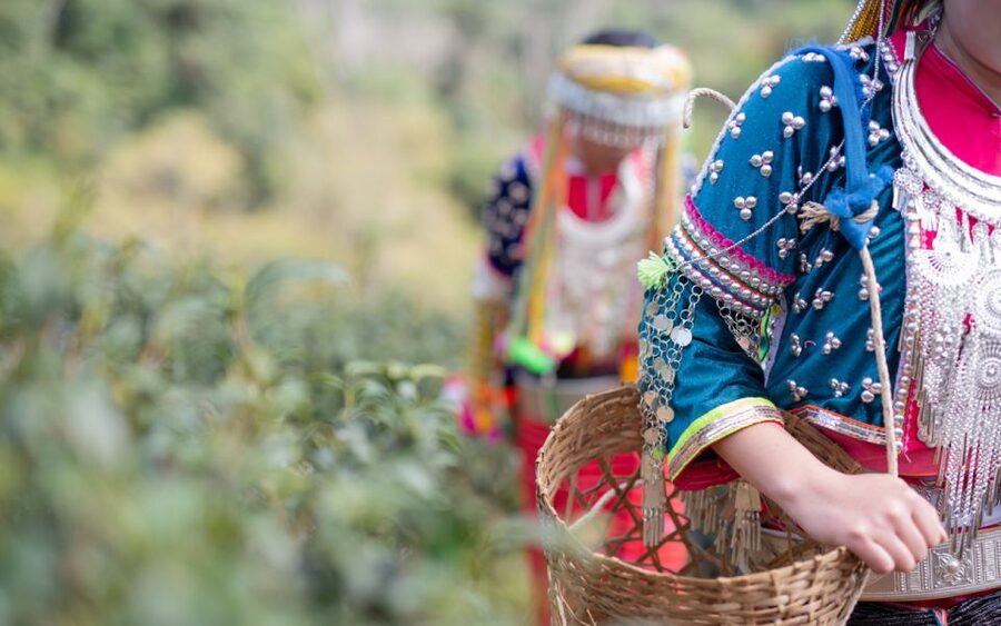 Chiang Mai: Half day Doi Suthep and Meo Village - The Hmong village visit after the temple