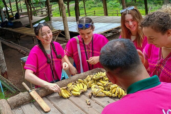 Chiang Mai Half Day Elephant Sanctuary Observation and Waterfall - Meeting elephants without riding or bathing them