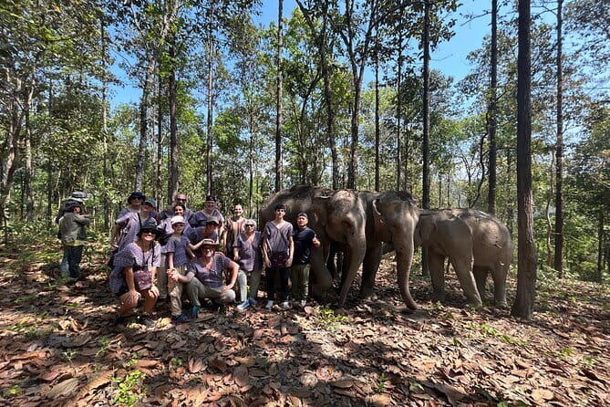 Chiang Mai Half Day Tour: Doi Inthanon Elephant Sanctuary - The 7:30 am start and the road to Doi Inthanon