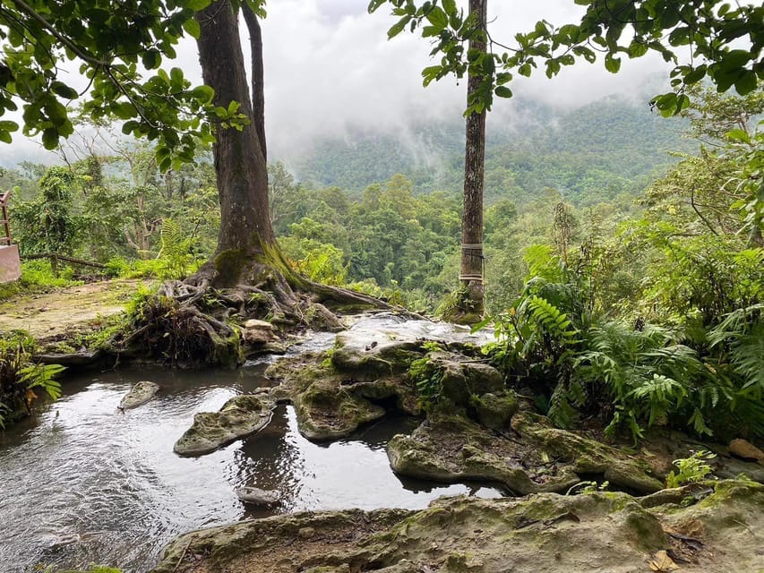 Chiang Mai Half Day Tour: Sticky Waterfall & Hotel Transfer - Why Chiang Mai’s Sticky Waterfalls are unusual