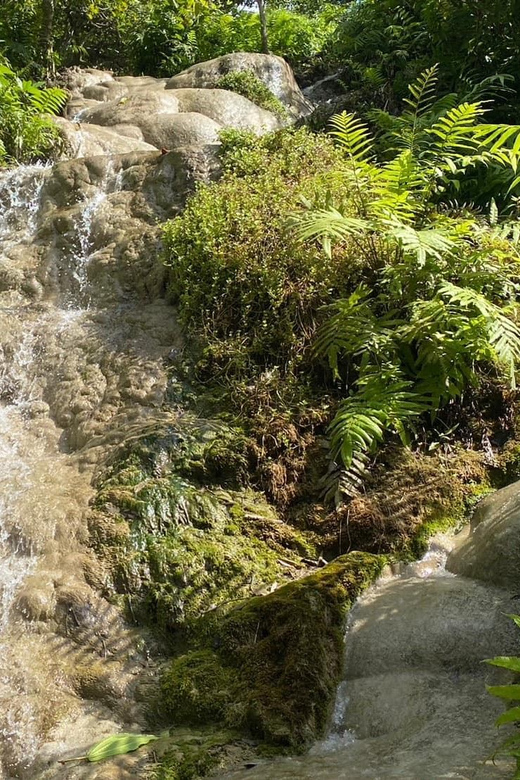 Chiang Mai Half Day Tour: Sticky Waterfall & Hotel Transfer - Morning or afternoon?