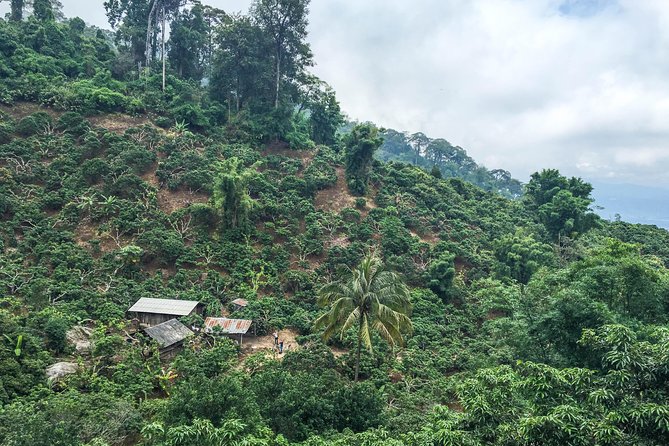 Chiang mai Hike & Downhill Bike Adventure –Suthep National Park - Weather and route changes can alter the plan