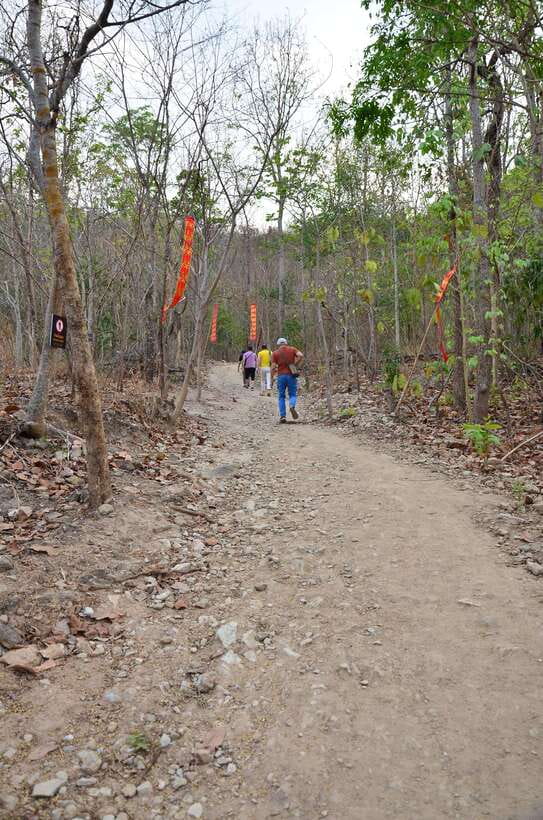 Chiang Mai: Hike on Monk’s Trail and Doi Suthep Private Tour - What the private format adds