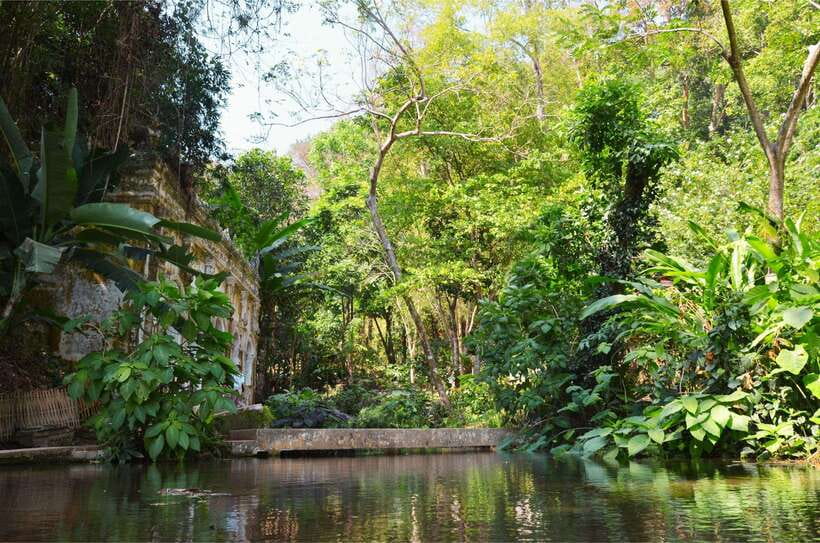 Chiang Mai: Hike on Monk’s Trail and Doi Suthep Private Tour - Who should book this Chiang Mai outing?
