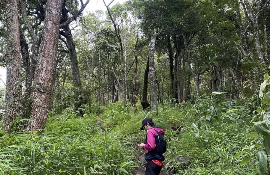 Chiang Mai: Hmong Village, Doi Suthep and Wat Pha Lat Trek - Doi Suthep brings the big views