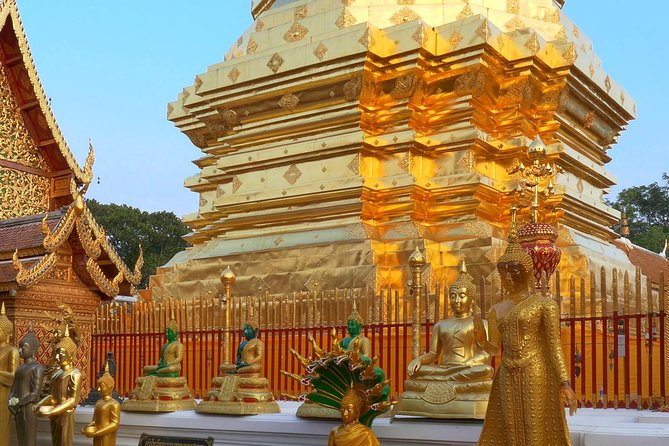 Chiang Mai Iconic Temples and City Tour - Price, timing, and what the $45.50 covers