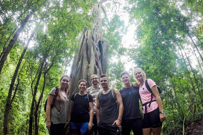 Chiang Mai: Inthanon, Elephant Sanctuary Observation & Waterfall - The Twin Royal Stupas and mountain gardens