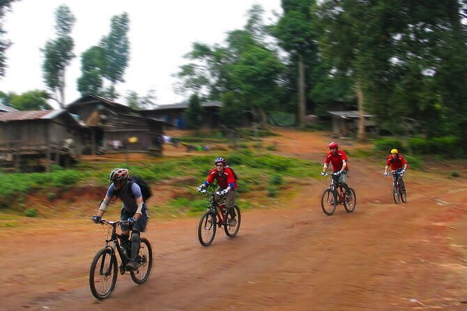 Chiang Mai: Inthanon, Elephant Sanctuary Observation & Waterfall - What is included for $81.12