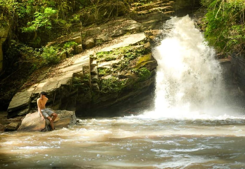 Chiang Mai: Jungle Jumbo Elephant Sanctuary with Waterfall - Key points to know before booking