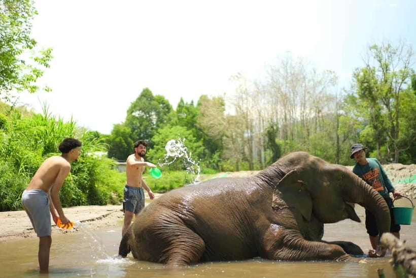 Chiang Mai: Jungle Jumbo Elephant Sanctuary with Waterfall - Guides can shape the whole experience