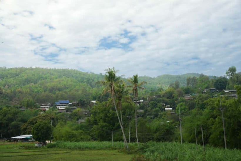 Chiang Mai: Jungle Jumbo Elephant Sanctuary with Waterfall - Pad Thai and the practical comforts