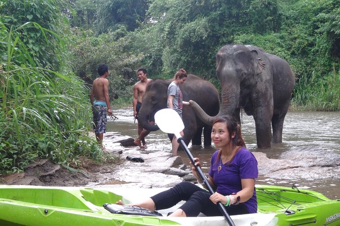 Chiang Mai: Jungle Kayak Adventure with Rapids & Elephants - Elephants, birds, and the view from water level