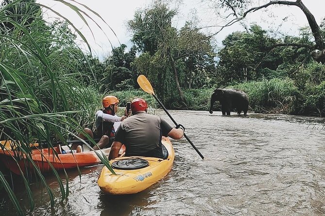 Chiang Mai: Jungle Kayak Adventure with Rapids & Elephants - The upper Mae Wang River: gentle rapids and jungle views