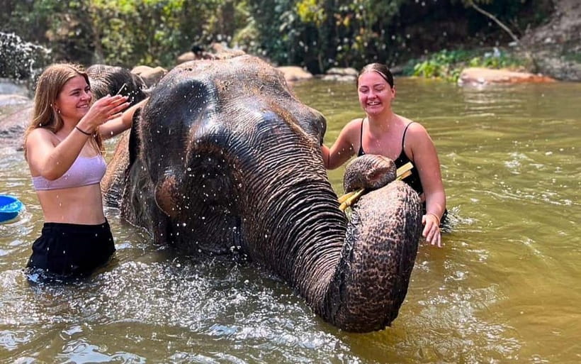 Chiang Mai: Jungle Trek, Elephants care & Bamboo Rafting - From Chiang Mai to the Mae Wang mountains